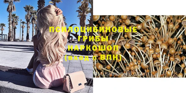 твердый Алзамай