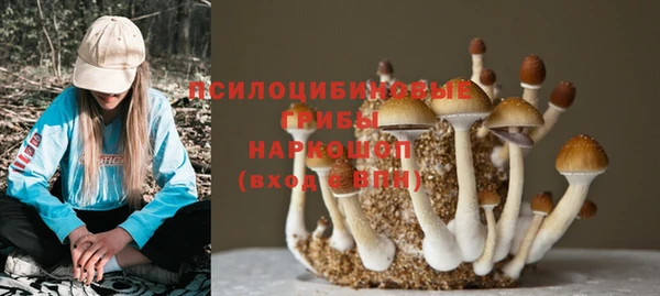 ALPHA-PVP Алексин